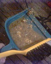 Vomit filled dustpan